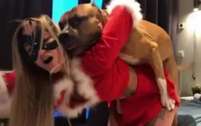 Алғаш рет анальды секс (кесілген)